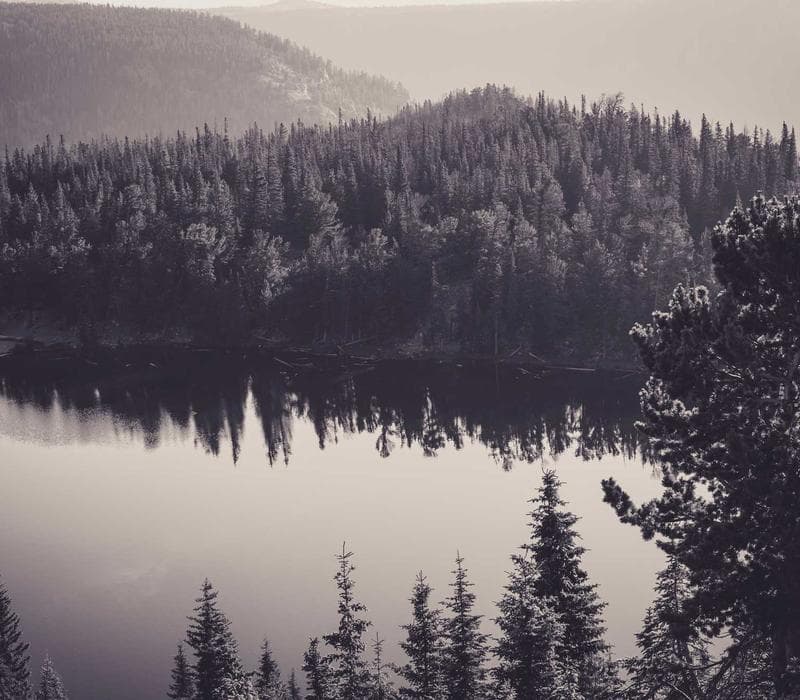 Terrain Series 1