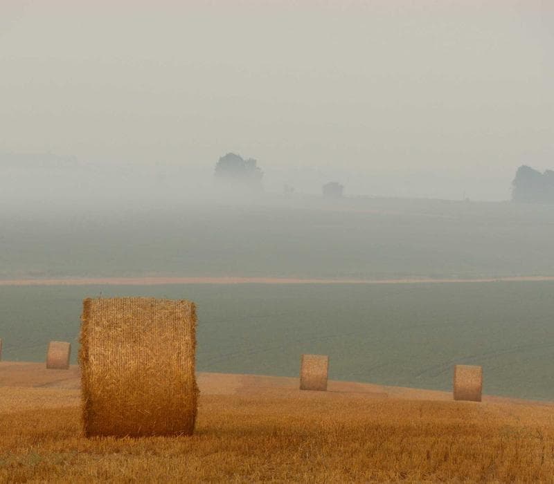Horizon Line 3