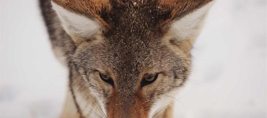 Campaign Visual 3