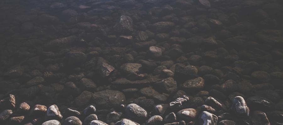 Intimate Portrait 1