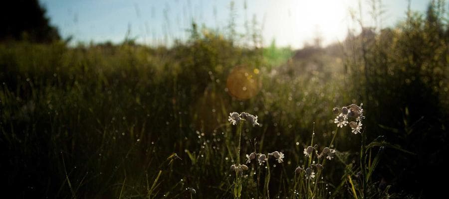Cinematic Piece 3