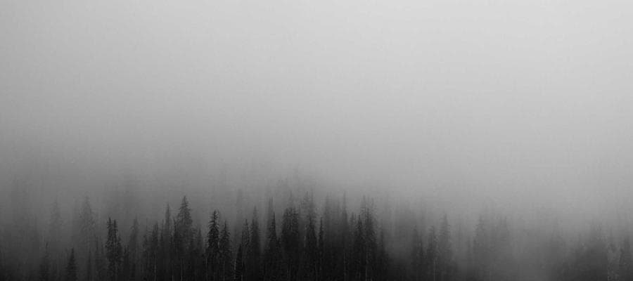 Environmental Portrait 3